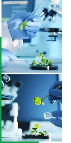 創新驅動，智領未來——我們的企業簡介